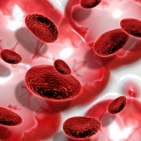Leucemia mieloide