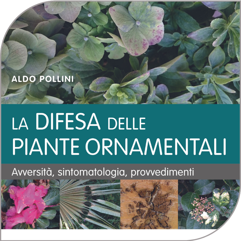 EDA-Primavera-giardinaggio-11