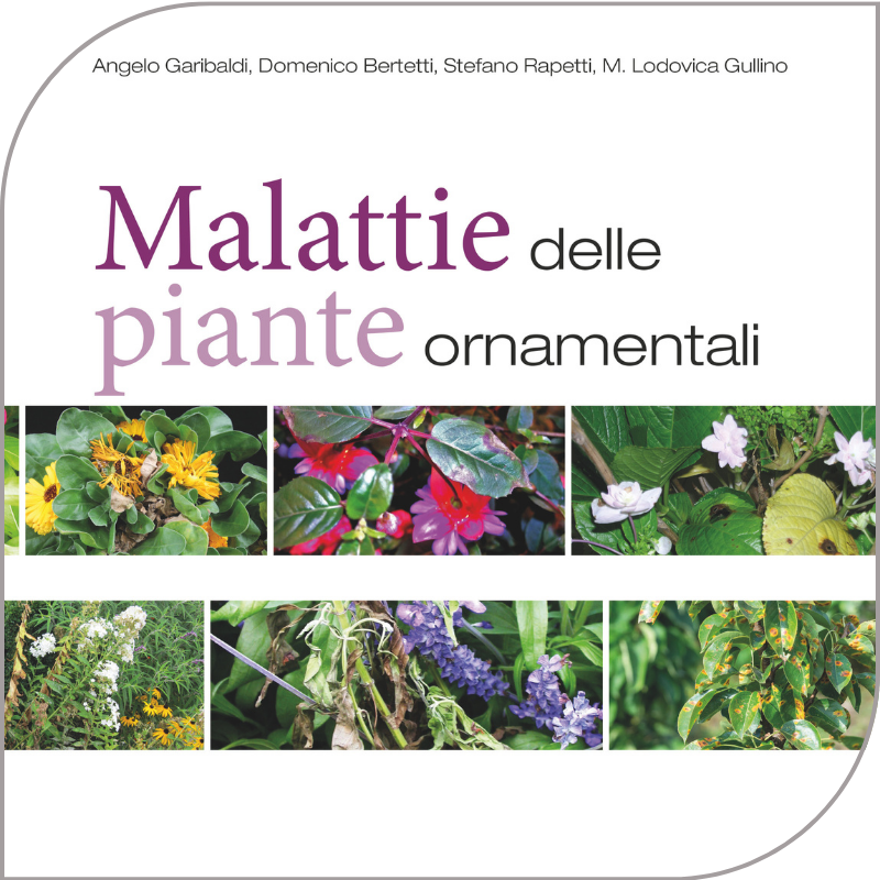 EDA-Primavera-giardinaggio-12
