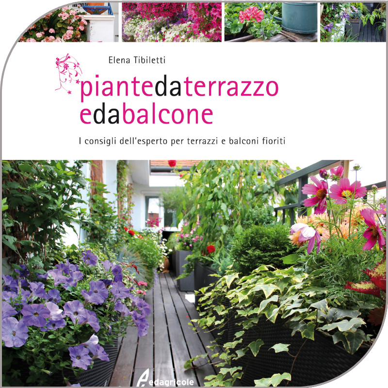 EDA-Primavera-giardinaggio-14