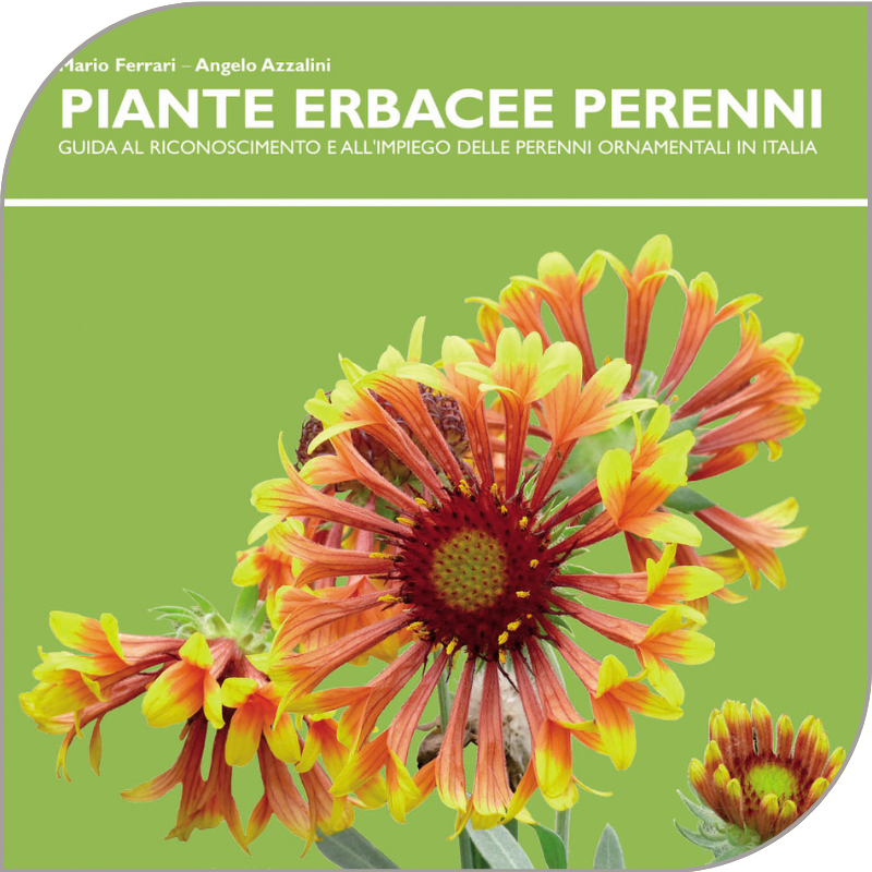 EDA-Primavera-giardinaggio-16