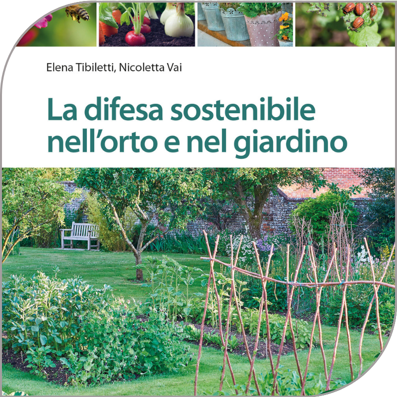 EDA-Primavera-giardinaggio-9